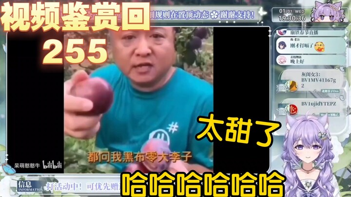 【凉笙不打嗝】紫色猫猫看《这TM才叫做带货鬼才》笑的停不下来