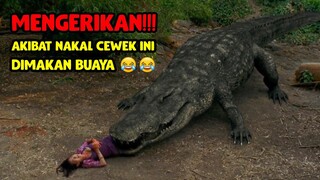 CEWEK BUAYA LAWAN CEWEK ULAR || Alur Cerita Film Mega Python vs Gatoroid (2011)