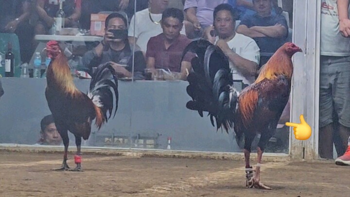 RPG Marinduque Fightt#3 5STAGDERBY sa Batangas Napitikan ng  Magic ang aming Manok‼️