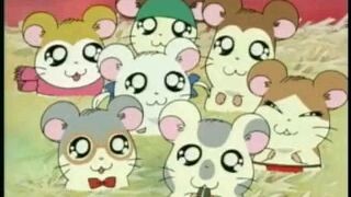 Hamtaro 56