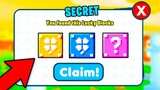 😳 Pet Simulator X Secret Code Gives SECRET LUCKY BLOCK! (Roblox)