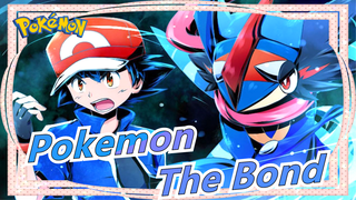 [Pokemon] Turn The Bond Into Strength!!!