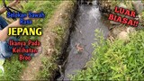 LUAR BIASA!! MANCING DI SELOKAN TENGAH SAWAH RASA JEPANG ||  IKANNYA PADA KELIHATAN!!