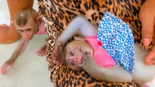 Little Toto so relax & comfortable when Mom softly touch her belly when lay down on Mom lap