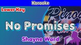 No Promises by Shayne Ward (Karaoke : Lower Key)
