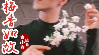 梦回如懿❀兰因絮果意难平《梅香如故》中国风爵士编舞练习室