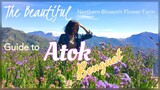 TARA NA SA ATOK, BENGUET! + COMMUTE TIPS! sa Northern Blossom Flower Farm Vlog 5| Princess Pagaduan