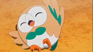 Rowlet vs Decidueye