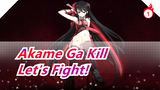 Akame Ga Kill|Let's Fight!_1