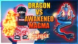 Dragon Fruit vs Awakened Magma Full Showcase in A One Piece Game