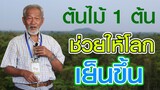 โลกร้อนเพราะป่าลดลง  | คนรักษ์ป่า ep 181