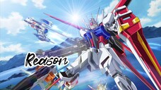 Reason-GUNDAM SEED DESTINY-AMV/MAD