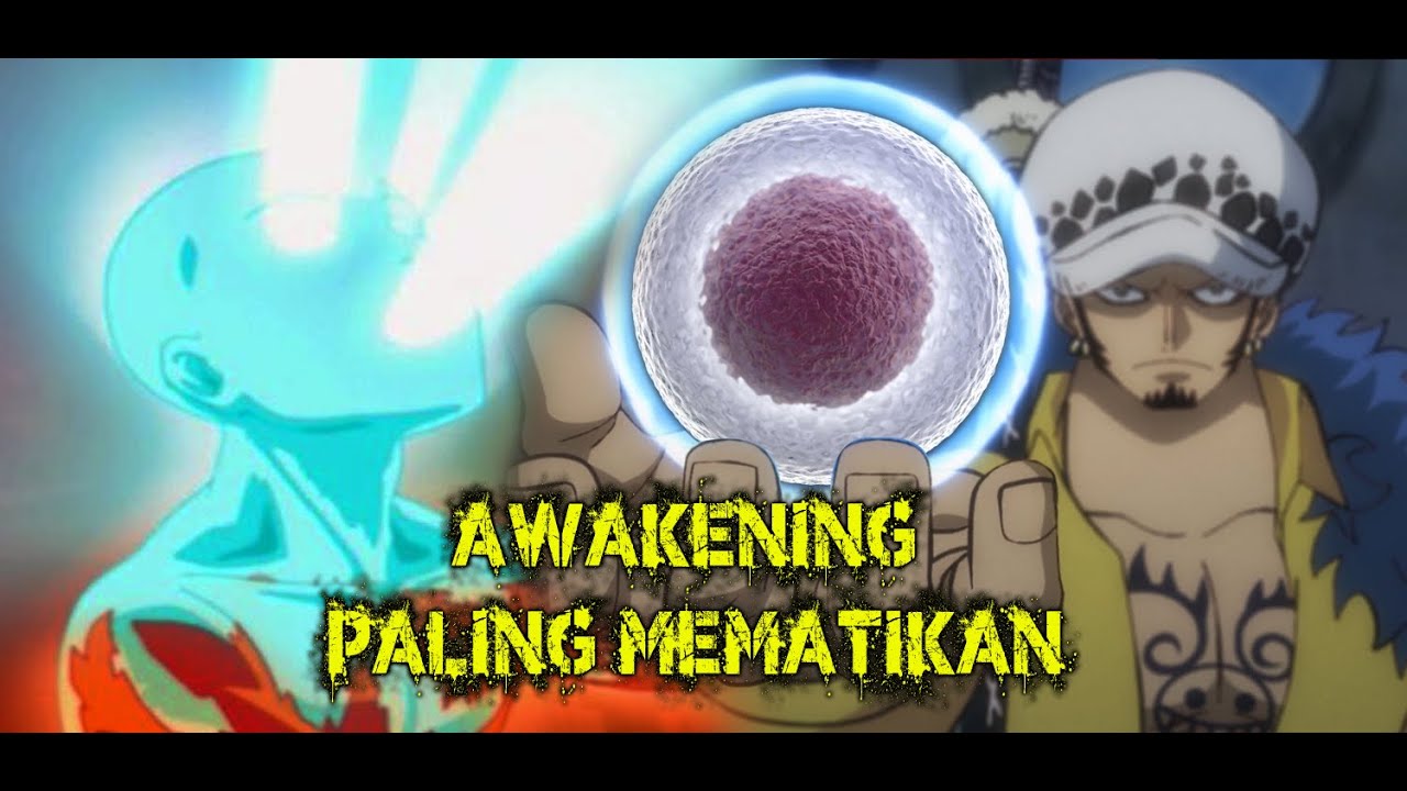 AWAKENING OPE OPE NO MI AWAKENING PALING MEMATIKAN #TeoriOnePiece -  BiliBili