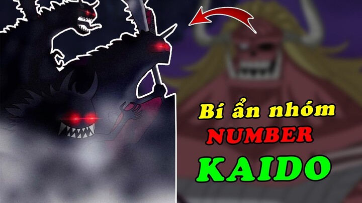 Bí ẩn đội quân Number khổng lồ của quân đoàn bách thú Kaido - Cơ hội nào cho Luffy