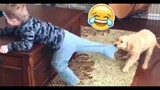 The Funniest Pets Vs Kids And Babies Fails LOL😅😜 of 2019| Funny Animal Videos💥👌