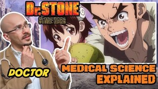 Real DOCTOR reacts to DR STONE! Anime Review | Season 2 STONE WARS