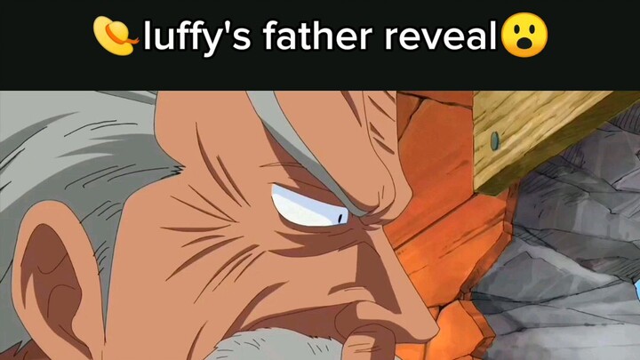 Luffy's father reveal? 😮