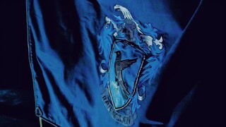 [HP] Bản phối quảng cáo Ravenclaw 2022 "Kiến thức không tốt cũng không xấu, chúng ta chỉ theo đuổi s