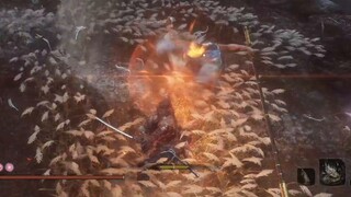 [Commemorating Sekiro's 100h Achievement] Mengxin is ordinary and harmless