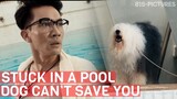 Never Fall Asleep in a Pool...That's How Dae Got Trapped! | ft.Theeradej Wongpuapan | The Pool