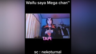 mega chan:v nekoturnal habibjafar tretanmuslim waifu wibu fypシ