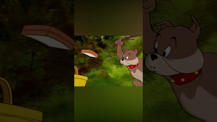 A perfect Picnic #shorts  #tomandjerry  #cartoon