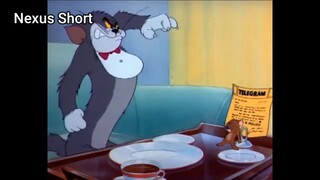 Tom & Jerry (Ep 14.3) Million Dollar Cat (phần 3) #TomandJerry