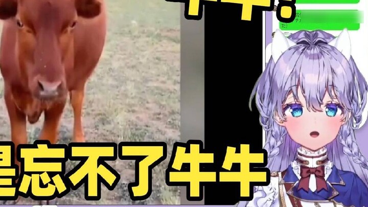 Japanese cute girl watched "Famous scene of animals being caught stealing food" and people were dumb
