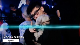 LỤC TÌM NHỮNG KÝ ỨC ANH THẤY LÒNG MÌNH NGHẸN NGÀO REMIX - LÝ DO LÀ GÌ HOT TIK TOk cực hay