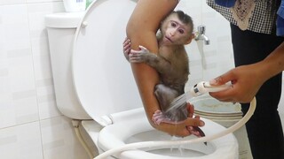 Lovely Mom Clean and Change Diaper For Little Monkey Maki Before Drinking Milk