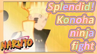 Splendid! Konoha ninja fight