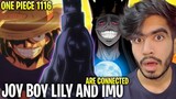 Joy Boy, Imu and Lily's are CONNECTED!!! | Luffy New Nakama 🔥| One Piece 1116