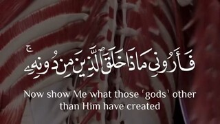 Allah Creation