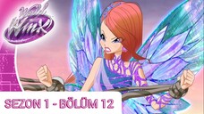 Winx Dünyası - Sezon 1 Bölüm 12 - Saatçi