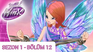 Winx Dünyası - Sezon 1 Bölüm 12 - Saatçi