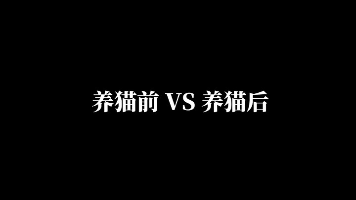 养猫前vs养猫后（一）