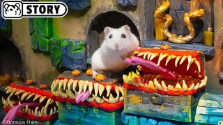 Hamster in the Dungeons and Dragons Maze - Lost Treasure Series 1 🐹 Homura Ham