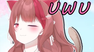 uwu是什么？学会了！【LuckyCupcake】