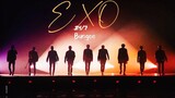 【自家还得跟自家混】EXO - 24/7  X  Bungee (Baekhyun)