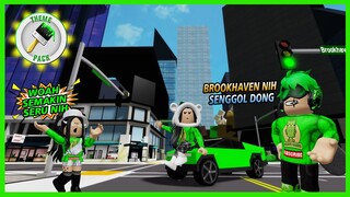 Amazing! Brookhaven Berubah Menjadi Kota Yang Kita Inginkan - Roblox Indonesia