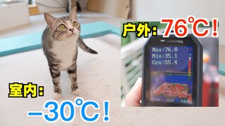 室外地面76度！ 我家地面却零下-30℃！猫直呼冻脚！