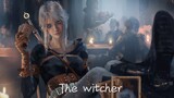 [The Witcher 3] Anh từ phía bắc với mái tóc trắng, khuôn mặt băng giá!