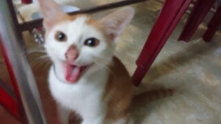 và cái kết có hậu :)