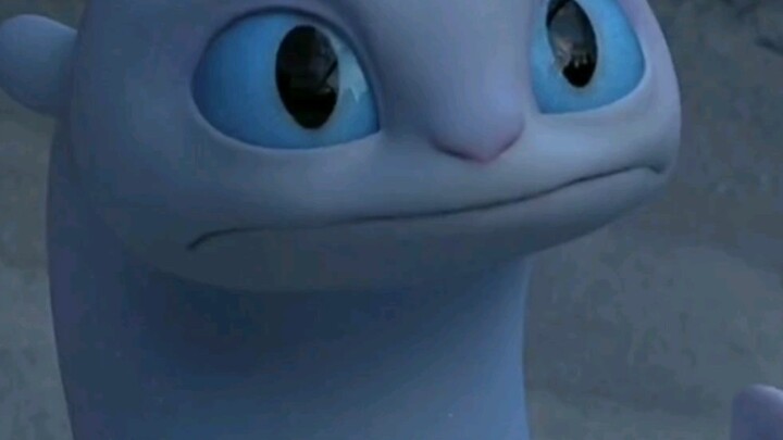 Toothless, this straight dragon is really stupid