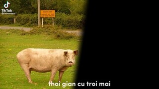 Thời g trôi qua nhanh quá