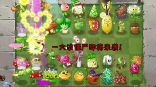 【植2】视觉盛宴级！全中区独占植物跳舞合集