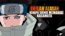 Inilah Alasan Kenapa Shino Memakai Kacamata