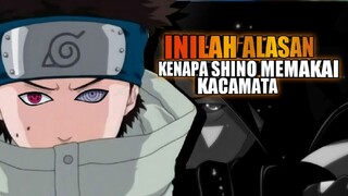 Inilah Alasan Kenapa Shino Memakai Kacamata