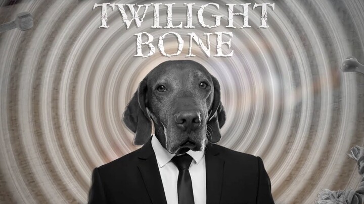Twilight Bone 🌀😧 | Twilight Zone Pet Parody | Funny Animal Videos