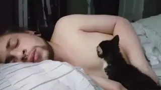 Men who rear cats should keep their shirts on while sleeping…
